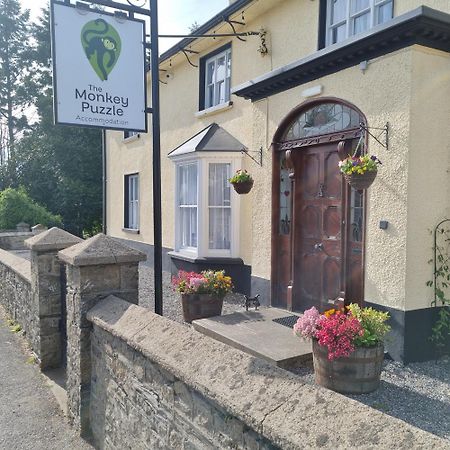 The Monkey Puzzle Hotel Bunclody Kültér fotó