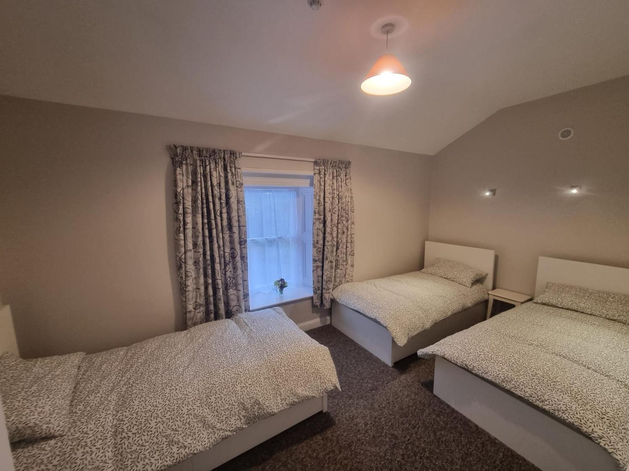 The Monkey Puzzle Hotel Bunclody Kültér fotó