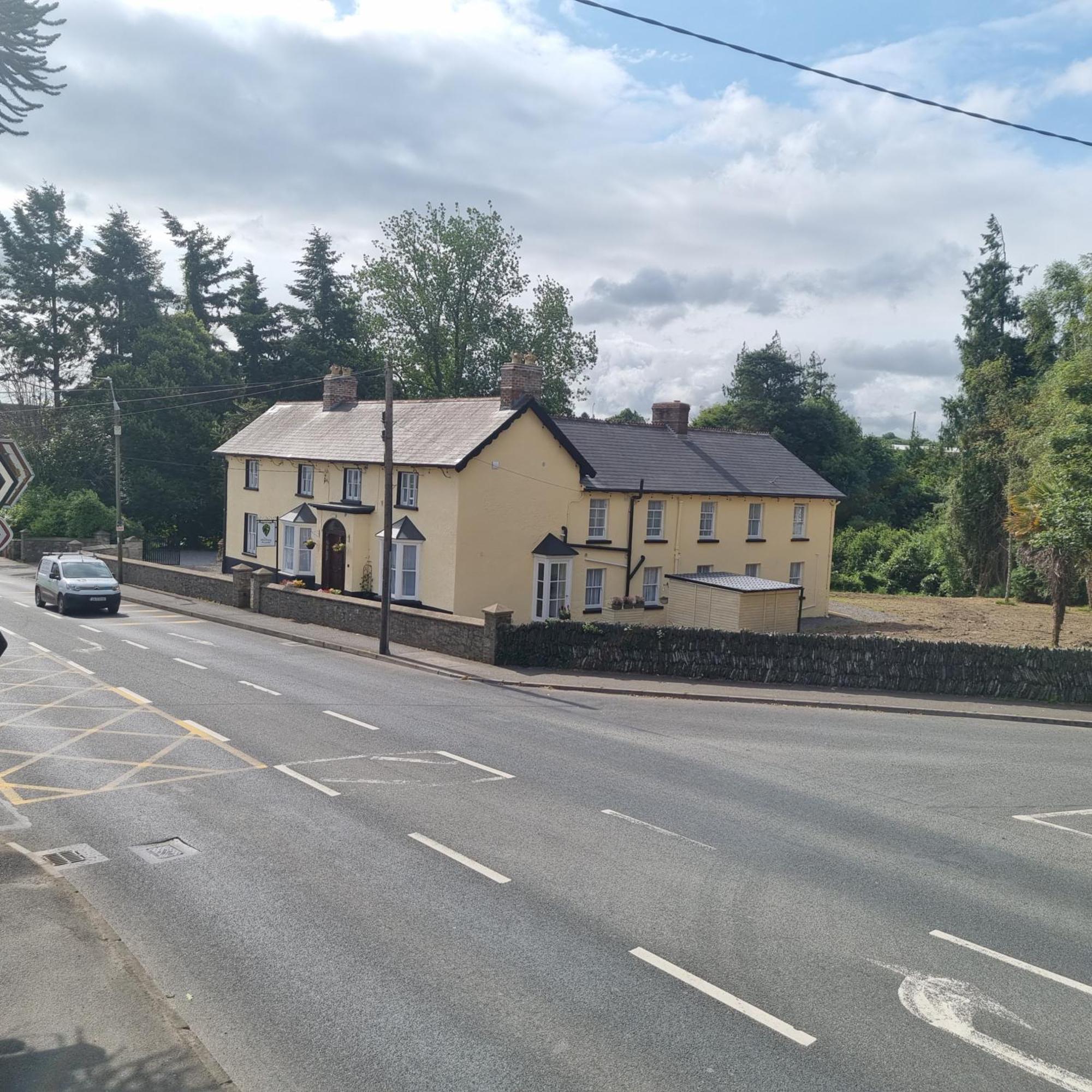 The Monkey Puzzle Hotel Bunclody Kültér fotó