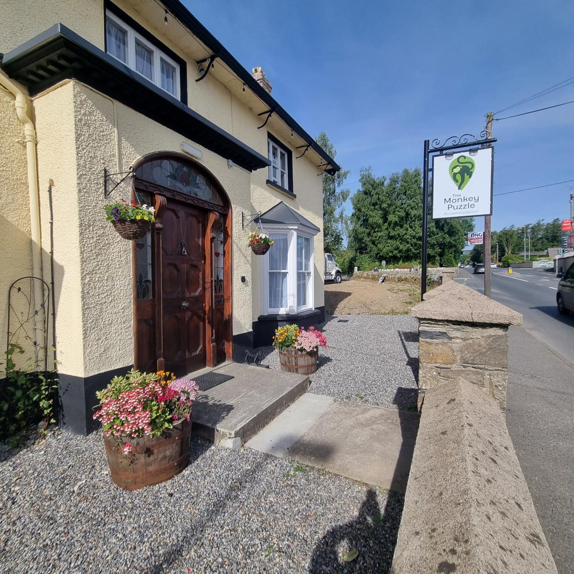 The Monkey Puzzle Hotel Bunclody Kültér fotó